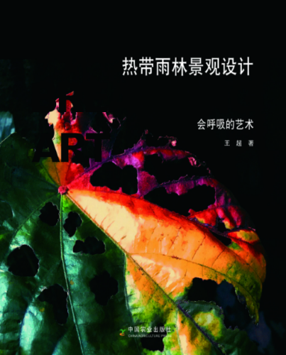 熱帶雨林景觀設(shè)計